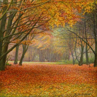 Herfstbos / Autumn forest © Aad Hofman