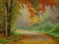Herfstkleur / Autumn colors © Aad Hofman