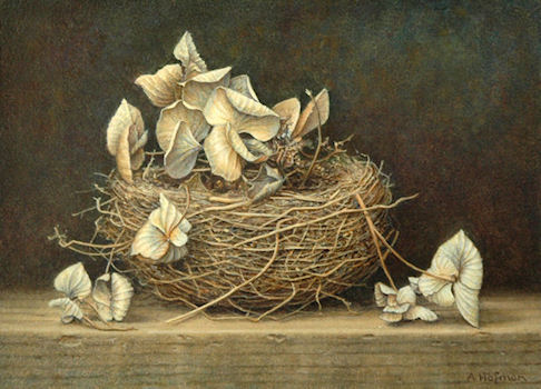 Nestje met hortensia © Aad Hofman
